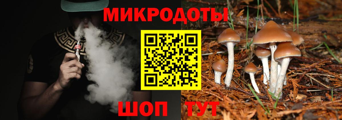 Псилоцибиновые грибы MAGIC MUSHROOMS  Вход с VPN  Кисловодск  Псилоцибиновые грибы Cubensis 