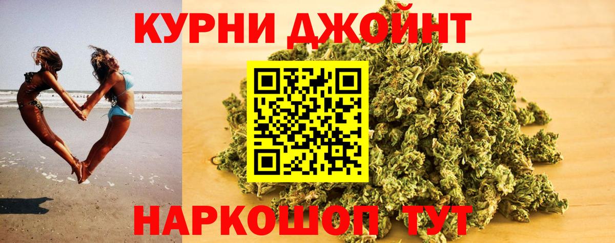 Каннабис гибрид Кисловодск